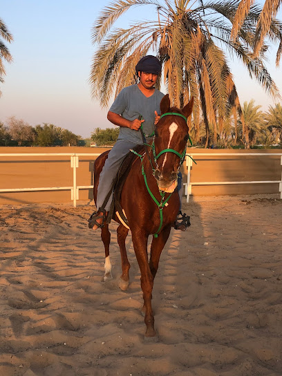 ALTHEEB HORSE STABLE - United Arab Emirates|Al Samhah - Abu Dhabi|2 Lane 718