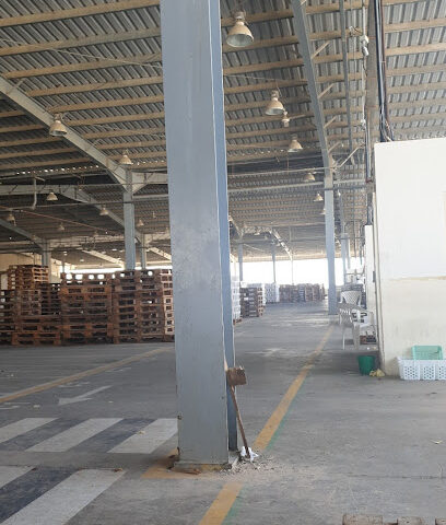 شركة الفوعة للتمور مركز التسويق - Ajman -