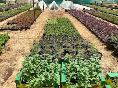Al REAM PLANTATION - Dubai - +971 55 669 4495