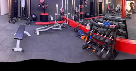 Elive Ladies Fitness & Gym - Dubai - +971 55 691 1640