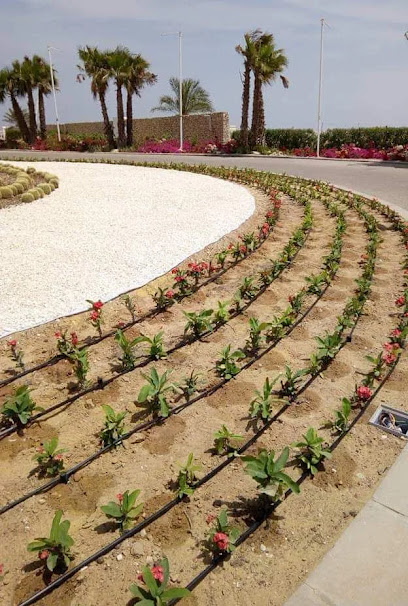 GARDENING AND LANDSCAPING WORK LLC - United Arab Emirates|Warsan 2 - Dubai