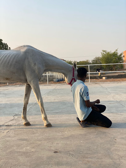Har Stable - United Arab Emirates|Ras al Khaimah|Airport Street|شارع المطار |