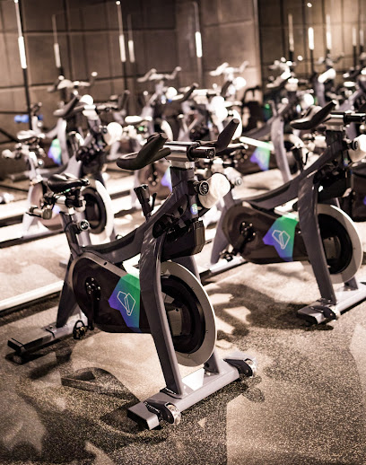 The Platform Studios - Boutique Fitness Hub - United Arab Emirates|Dubai Marina - Dubai|Shop 2