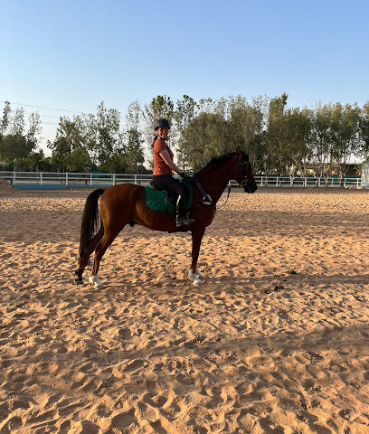 Paragon Equestree Club - Dubai - +971 58 593 3400