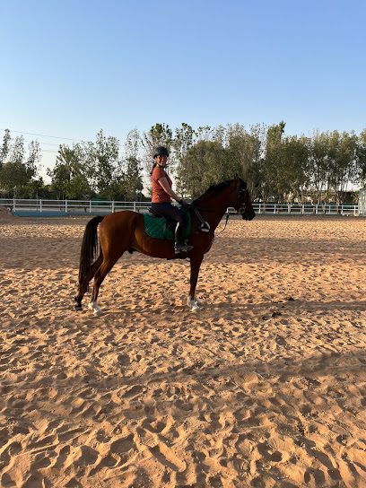 Paragon Equestree Club - United Arab Emirates|Dubai|Al Ruwayyah District