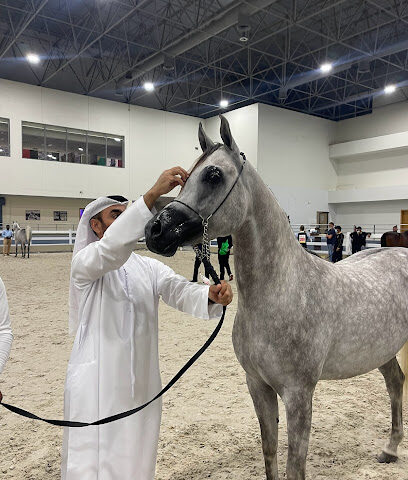 BAN SUBAIH ARABIAN HORSE STUD - Dubai - +971 50 324 4445