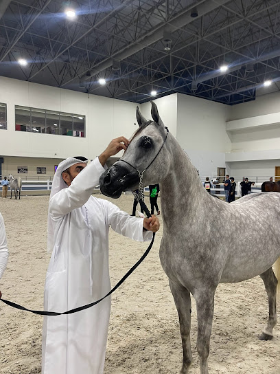 BAN SUBAIH ARABIAN HORSE STUD - United Arab Emirates|Al Wathba - Abu Dhabi