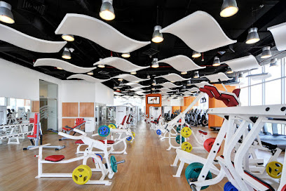Lifeline Wellness - Dubai - +971 2 546 3000