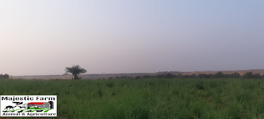 المزرعة ماجستيك -العين MAJESTIC FARM - AL AIN - Ajman - +971 50 718 0232