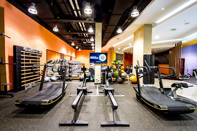 Gold's Gym Etihad Mall - Dubai - +971 4 251 5998