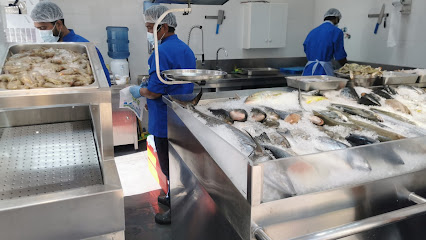 iLLiES FISH TRADING-TOURIST CLUB AREA - Ajman - +971 2 246 0103