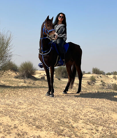 MS9 Dubai desert horse ride experience - Dubai - +971 55 233 2677