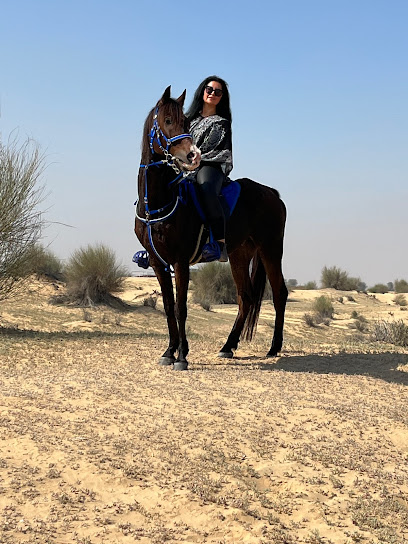 MS9 Dubai desert horse ride experience - United Arab Emirates|Dubai|Al Rawayha