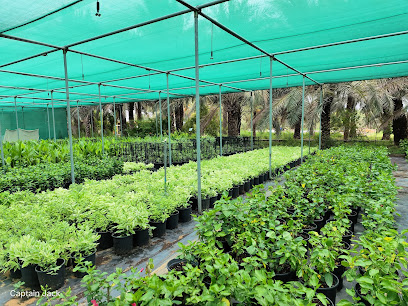GOVER NURSERY - Dubai -
