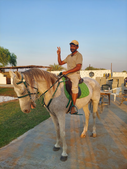 اسطبل السراب - United Arab Emirates|Alzubair - Sharjah|9JHW+Q5