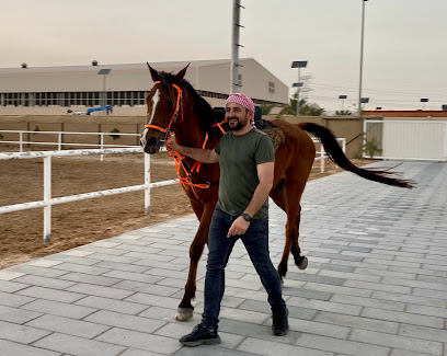 Equiland Horse Riding & Horse Experience ركوب الخيل - Dubai - +971 52 386 9114