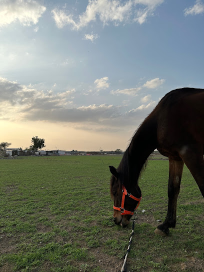 مزرعة حسني ابو الشوارب - United Arab Emirates|Sharjah