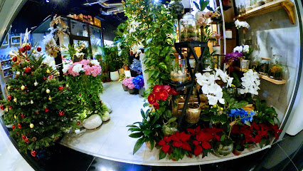 Blomma Boutique - Ajman - +971 52 585 8200