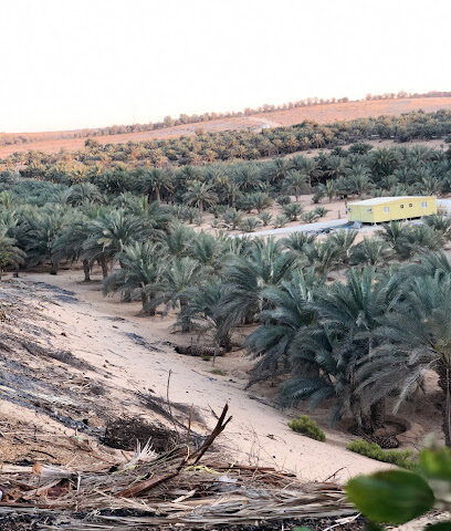 جمعه بوغنوم الهاملي - Ajman -