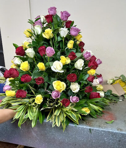 شركة قرطبة للزهور - Ajman - +971 6 566 7755