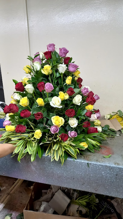 شركة قرطبة للزهور - United Arab Emirates|Halwan Suburb - Al Yarmook - Sharjah|89WX+WW5