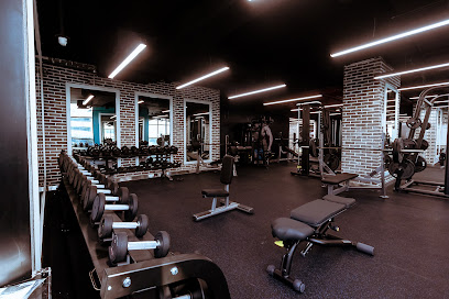 Tiger Health Club - Dubai - +971 56 433 4933