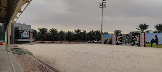 بطولة عجمان لجمال الخيول العربية - Dubai -