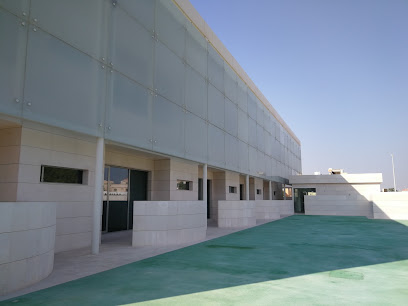Abu Dhabi Autism center مركز ابوظبي للتوحد - Ajman - +971 2 305 6400