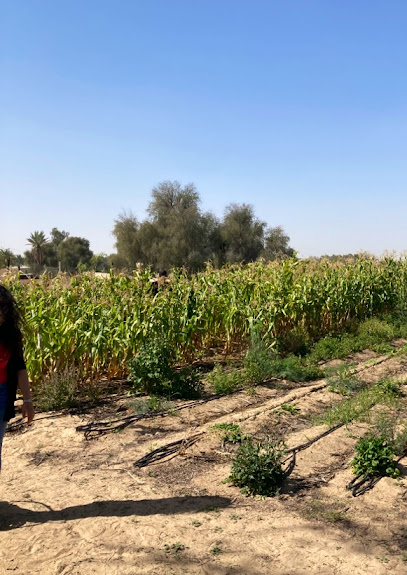 My Farm Dubai - United Arab Emirates|Downtown Dubai - Dubai|Souk Al Bahar Bridge|Burj Khalifa