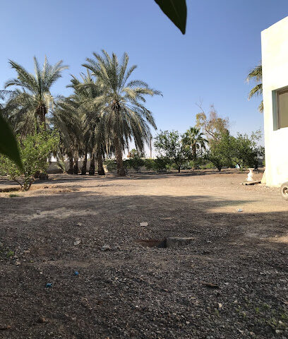 Husain Baqer Farm - Ajman -