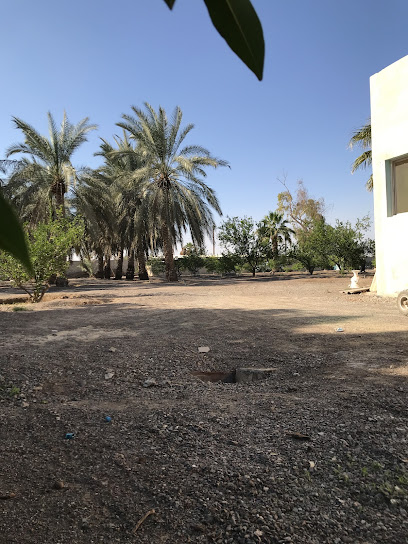 Husain Baqer Farm - United Arab Emirates|Sharjah|7WFQ+448