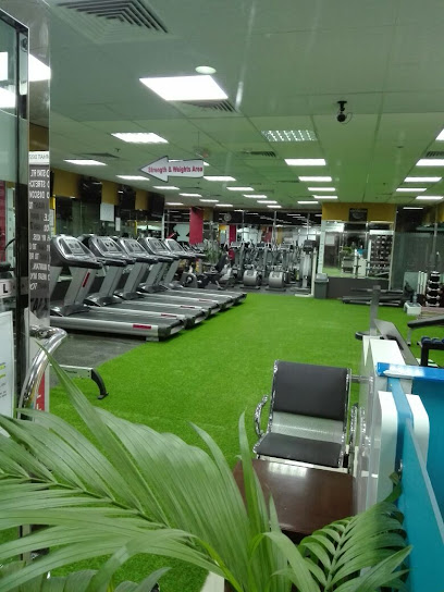 Stay Fit Fitness Club - United Arab Emirates|Dubai|54 Amman St|Al Shamsi Building