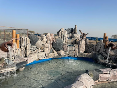 مزرعه القابض - Ajman -