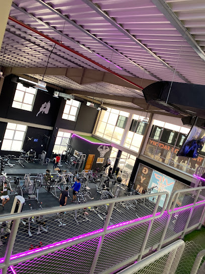 VIP Training Fitness - United Arab Emirates|Al Muqta - Al Muqta 3 - Umm Al Quawain|خلف وزارة تنمية المجتمع