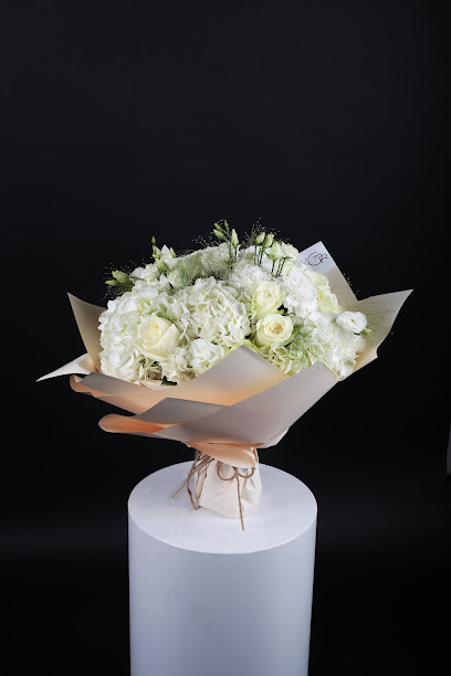 Glamour rose - United Arab Emirates|Dubai|Umm Al Sheif Rd|Jumeirah 3 Beach Rd