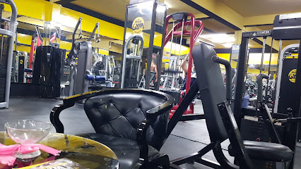 AL MARJAN BODY BUILDING - Dubai - +971 56 633 4898