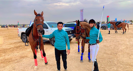 AlMashhoor Stable. اسطبل المشهور - Ajman - +971 55 500 6327