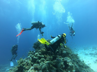 Alhoot diving club -diving site - Abu Dhabi - +971 52 633 8833
