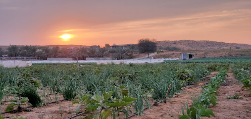 Rak farm - Ajman - +971 56 276 4311