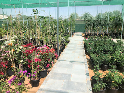 مشتل دانة العين الجاهلي - Ajman - +971 50 313 1777