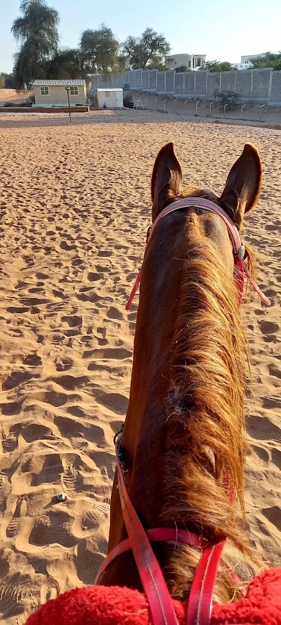 Al Buraq Equestrian Stables اسطبلات البراق لتعليم الفروسية - United Arab Emirates|Al Kharran - Ras al Khaimah|Unnamed Road|PXH9+VFX