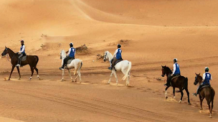 Al Madam Stables - Dubai - +971 50 911 1877