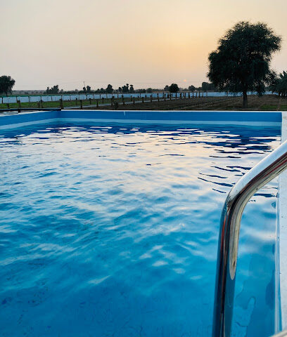 مزرعة بن حمادي الشحي Alshehhi Farm - Ajman - +971 50 668 2558