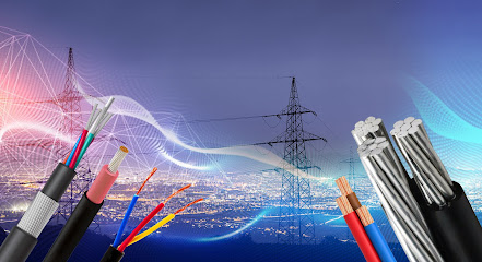 BluEnergi Electrical Fittings Trading Company LLC - Ajman - +971 4 256 7329 ext. 1116