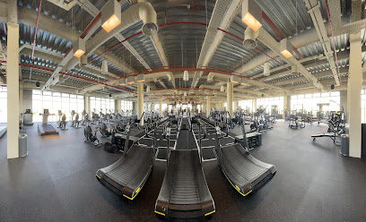 The Warehouse Gym Jumeirah Park - Dubai - +971 4 209 5340