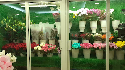 Al Banafsaj flowers shop - Ajman - +971 56 300 4350