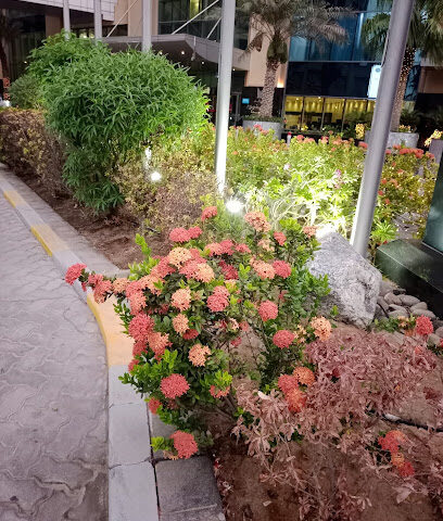 Purple touch event management ( flower shop ) حديقتي السريعة - Ajman - +971 56 721 7444