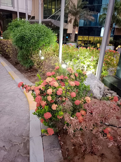 Purple touch event management ( flower shop ) حديقتي السريعة - United Arab Emirates|البردي - Sharjah|88RX+5PP