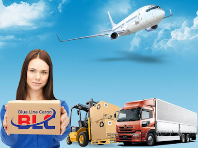 Blue Line Cargo LLC - Ajman - +971 2 556 8668