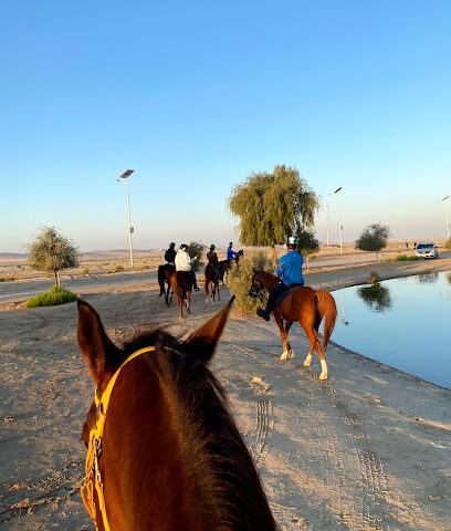 Rabdan Equestrian Club - Ajman - +971 50 596 6621